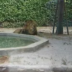 Levante *